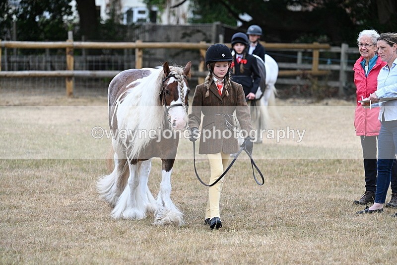 WJ7_8058 - Class 4 Prettiest Mare up to 14.2hh