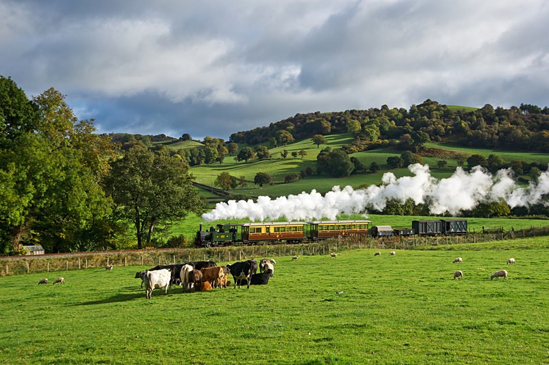 Rural bliss - Trains of Thought