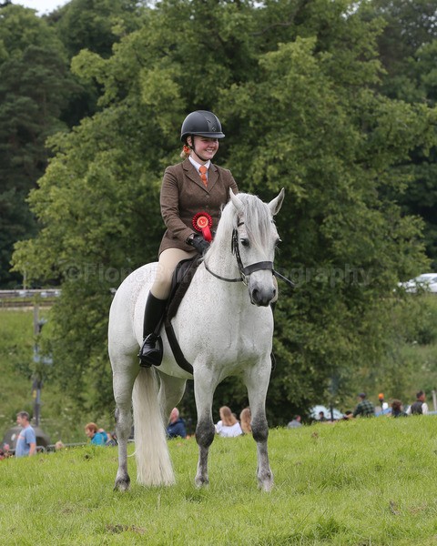 AR8W2635 - Dunblane and Doune Show Ring 1