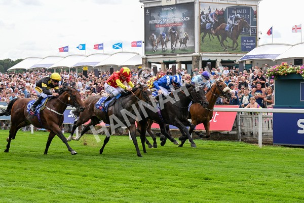 260725-Race 2-Elmonjed-0332 - Race 2 2.00pm Sky Bet Dash Handicap