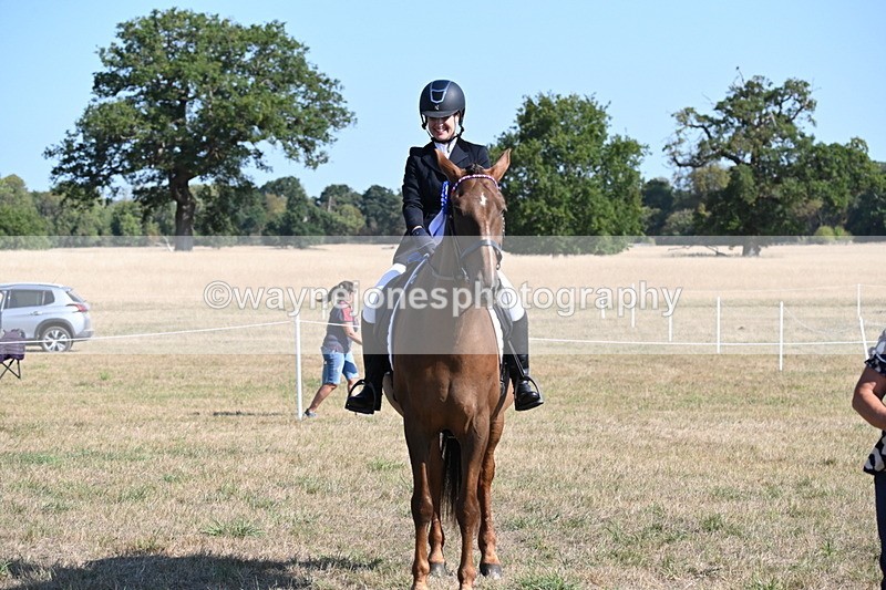 WJ6_7375 - Class 33 Rescue Pony