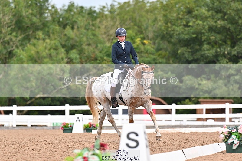 240817A-113722-08073 - 234-Pip.Stephens-Odd.spot.bright.eyes