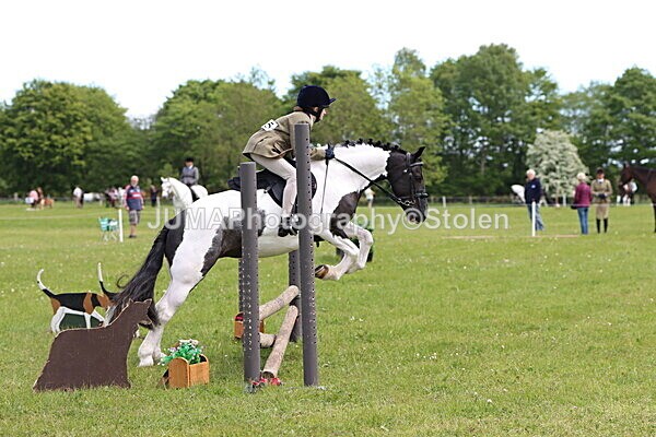 IMG_2912 - Working Hunter