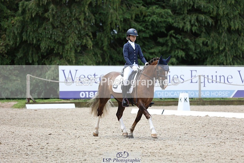 230812-115923-03893 - Cls 5 Novice Bronze 11.15 to 12.50 break