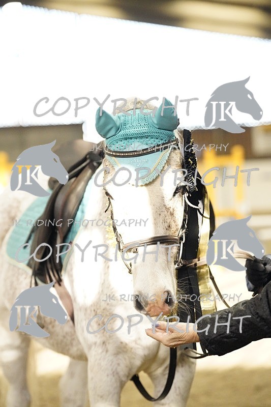 _DSC3238 - Class 4 50cm