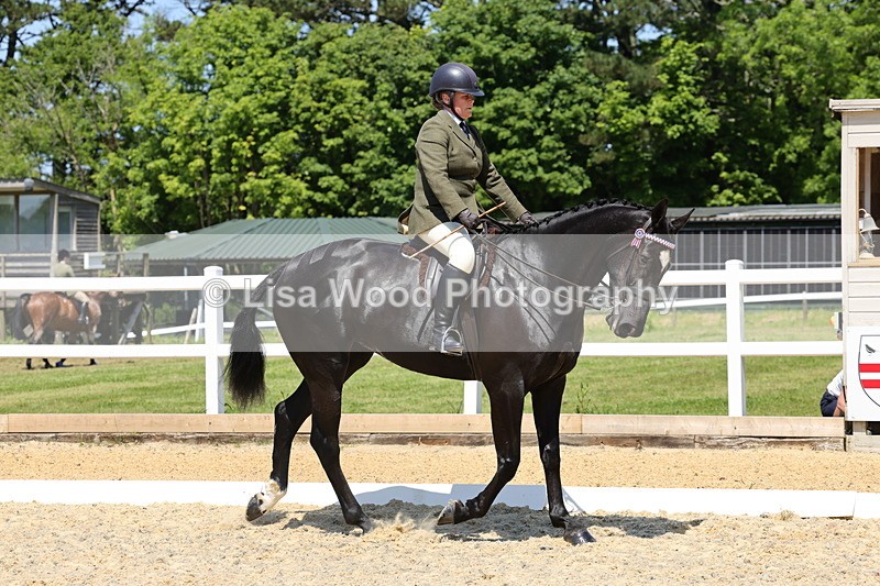 1X9A1794 - Class 12: Ridden Riding Horse/Hack