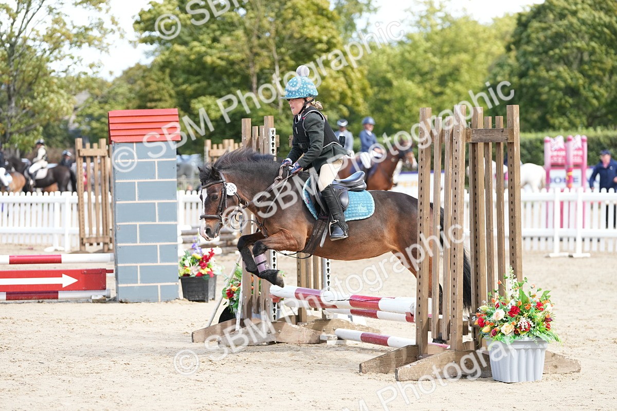 SBM_20632 - J49 - Open 50cm