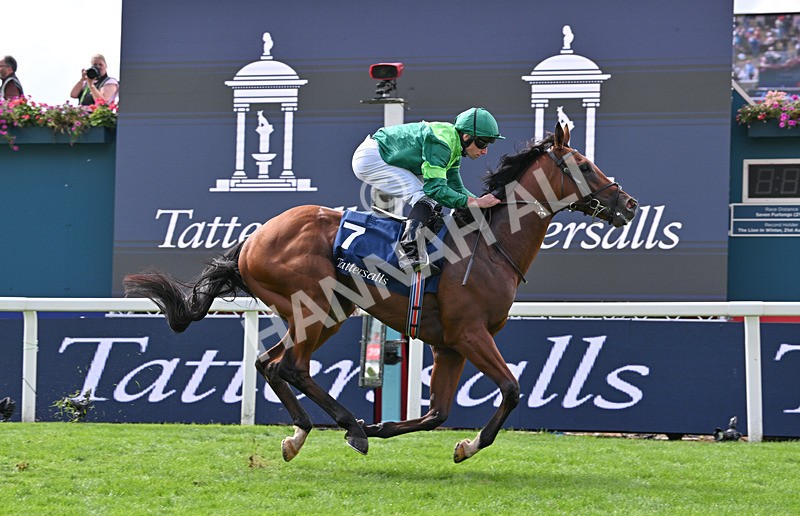 190826-051 Haffner - Race 2 14.25pm Tattersalls Acomb Stakes
