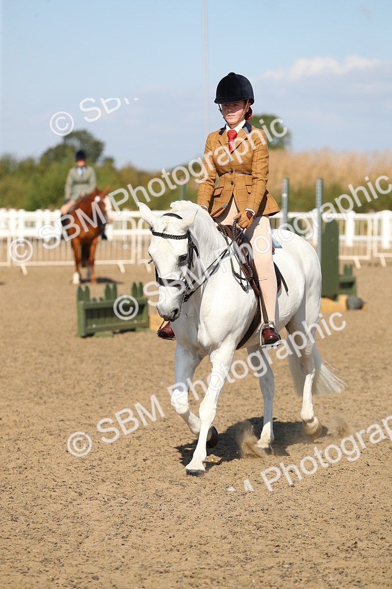 SBM_02307 - Class 43 Ridden Competition Horse/Pony
