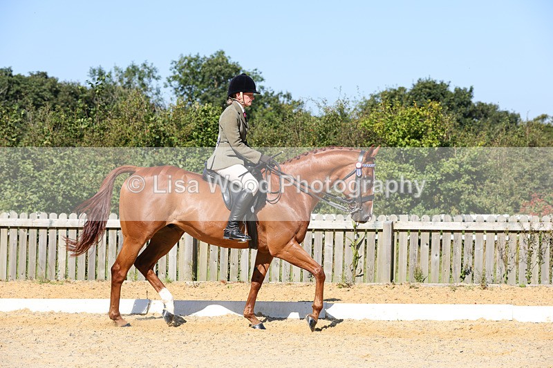 1X9A7867 - Class 10:Riding Horse