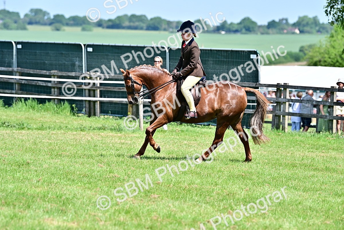 SBM_13969 - Class 95-97 - BSPS LHS Performance Ponies