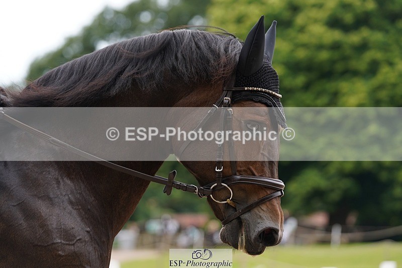 240721-100602-07436 - 301-Lauren_Prince-Inishturkbeg_Lucy_Jewel
