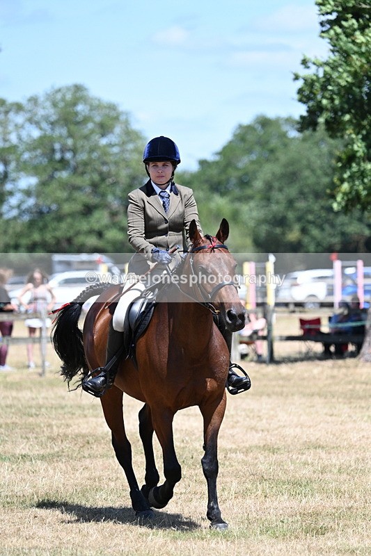 WJ7_3042 - Class 7 Riding Club Show Horse