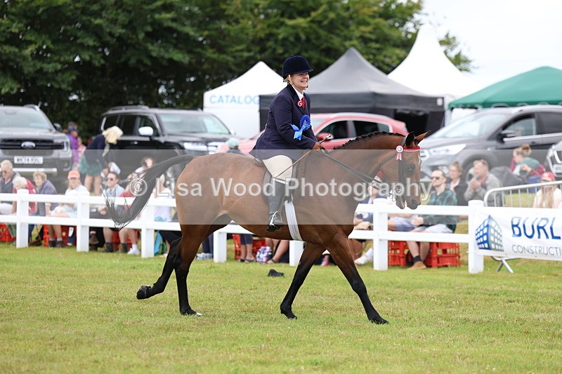 3E7A1291 - Class 8: Open Riding Horse/Hack