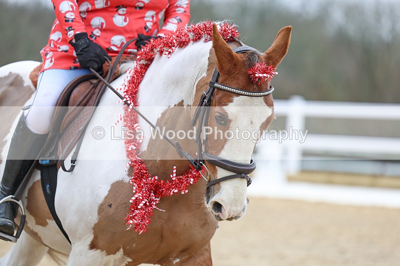 3E7A3755 - Class 2: Intro Section B