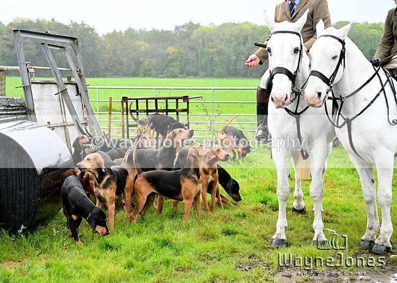WJ7_8279 - Berks & Bucks Blackcroft Farm 20-10-24