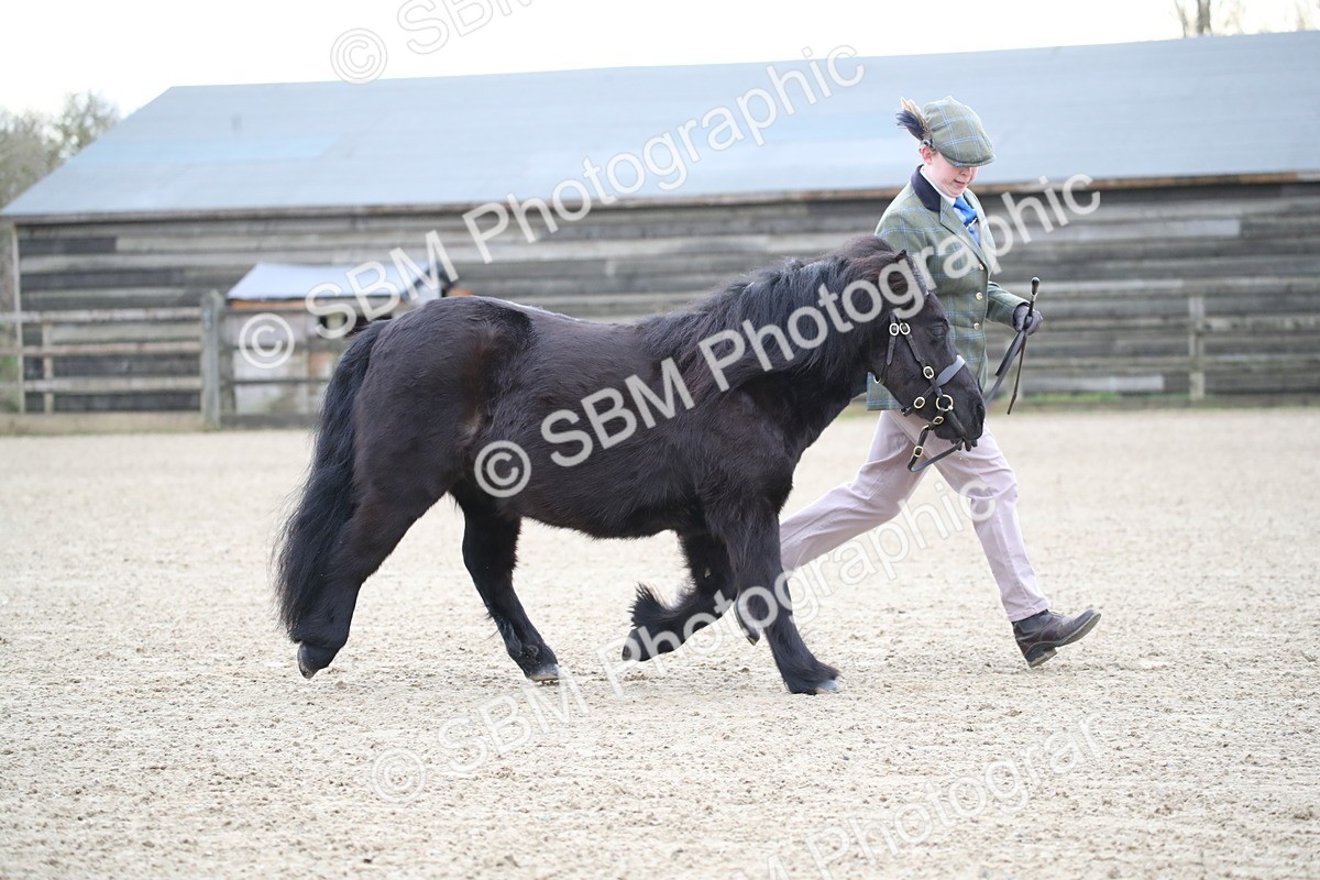 SBM_003888 - Class 1-4 - Young Stock classes Inc. In Hand Championship