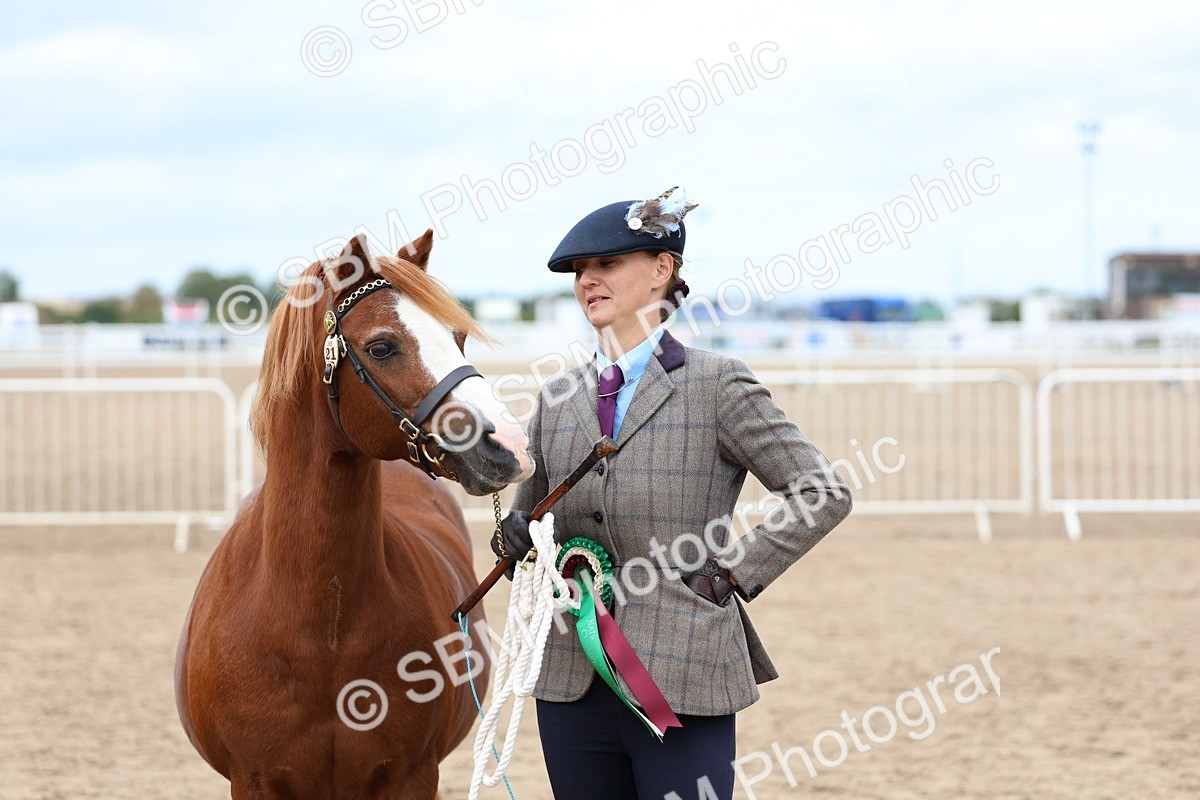 SBM_05986 - Class 29 - IH Veteran Pony
