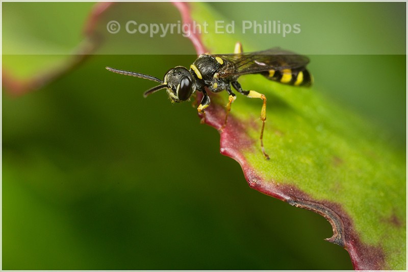 5D3_4651_web