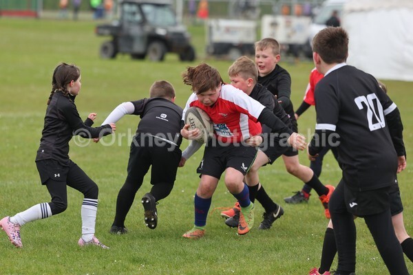 DAD22367 - Rookies/Mini Rugby on 7s Day