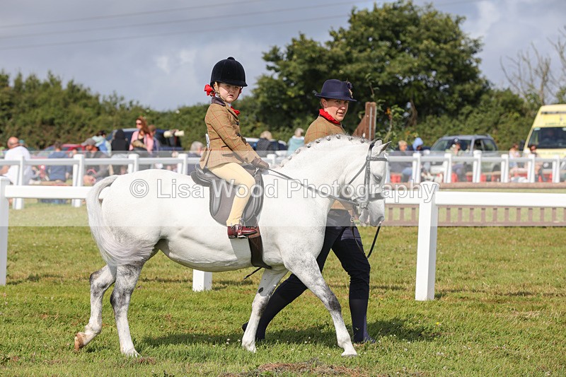 1X9A3558 - Class 29: Lead Rein SP/SHP