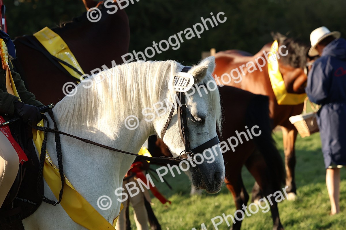 SBM_53177 - Veteran Supreme Championship
