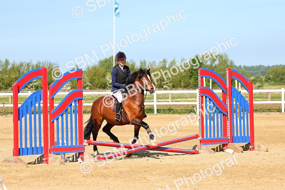 SBM_006635 - Class 2 - 50cm