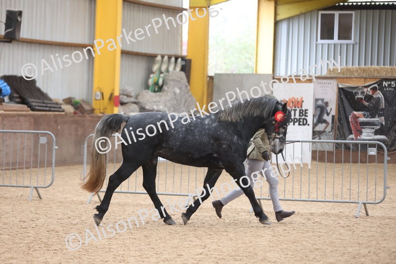 20251109-1126 - Championship