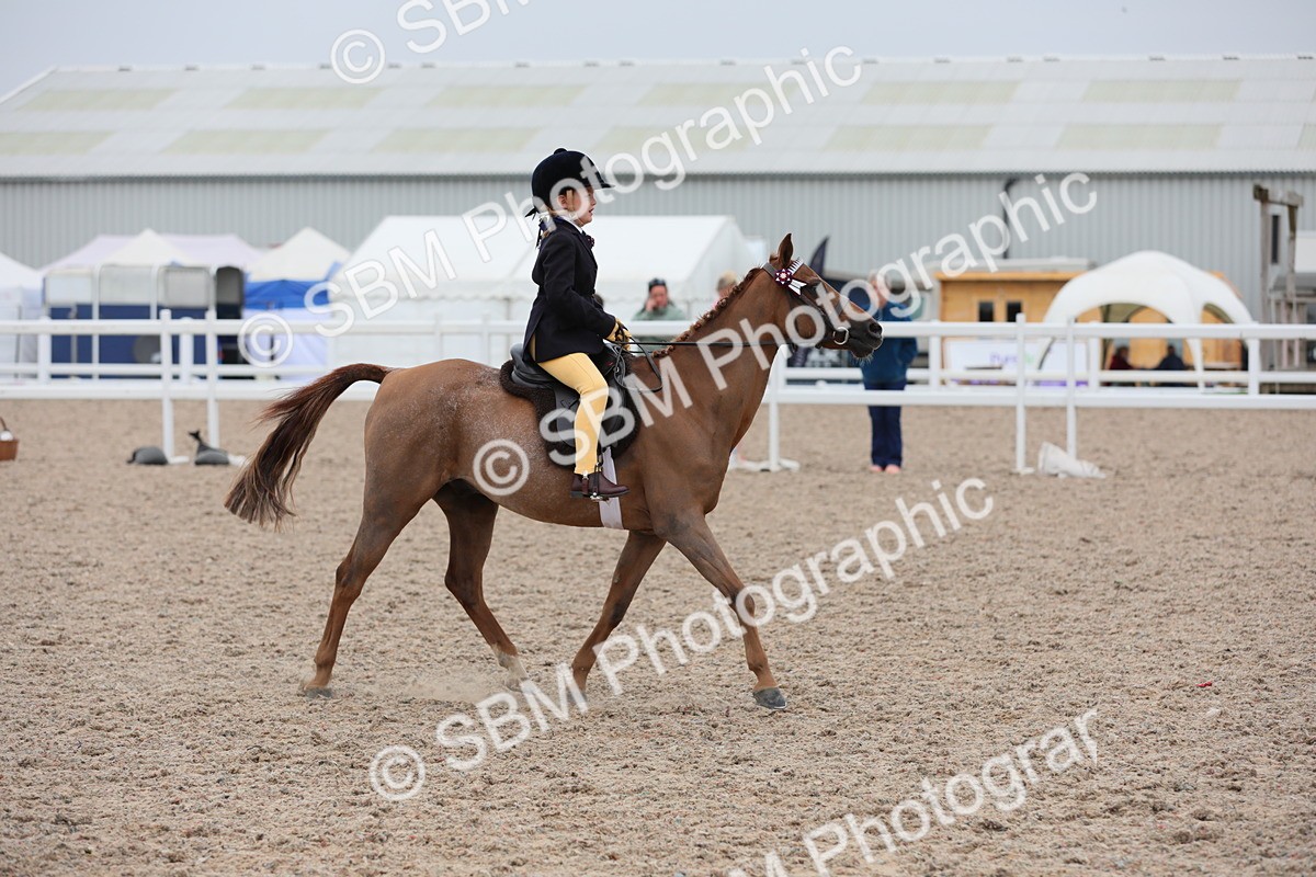 SBM_18127 - Class 316 Best Pony/Rider Combination