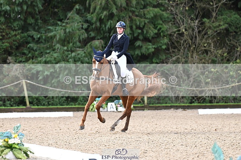 251023A-101750-01479 - B-128-Holly.Law