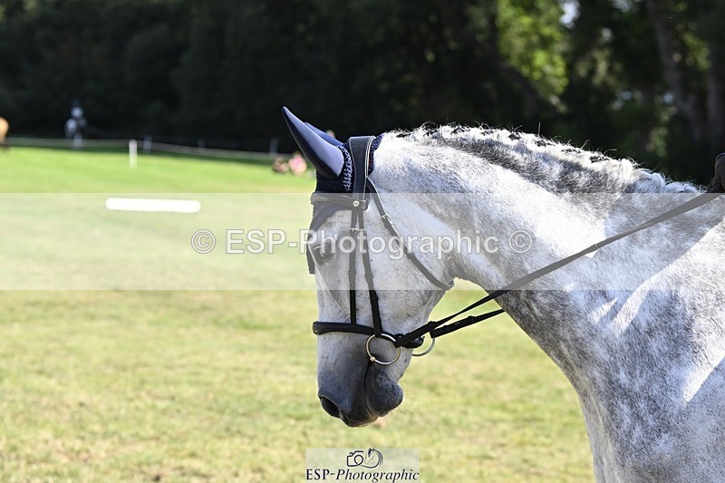 250822A-103951-20361 - DR 10.00 to 11.00