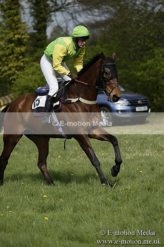 PtP 170417 280 - Old Berks Point-to-Point Lockinge 17/04/17