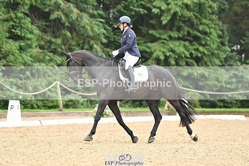 240811-115803-05311 - 118-Katie.Kneen-Springtime.Evergreen