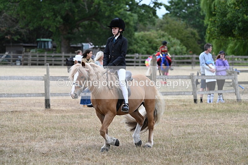 WJ7_7191 - Class 2 Best Rider