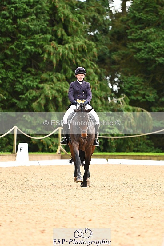 231020-155101-11963 - 217-CEFNPANT.IOLO-Katie.Thomas-DR