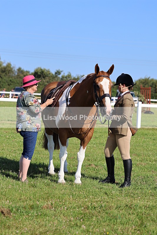 IMG_1451 - Class 29:  Ridden Native/Trad Coloured Horse