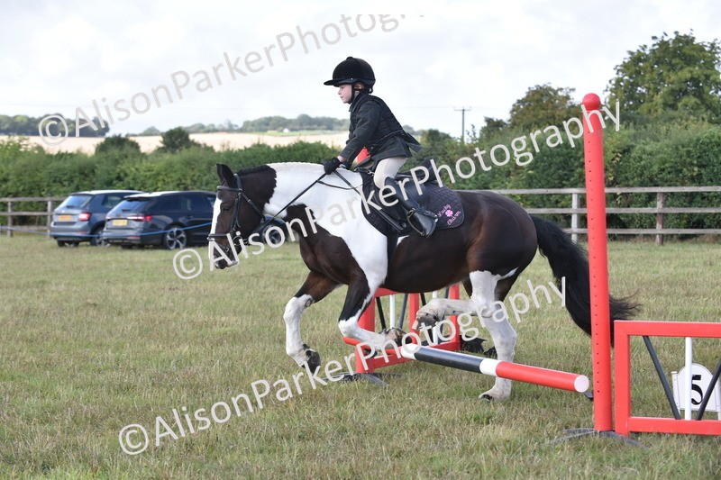 20250831-0465 - Class 7 - Absolute Novice 35cm