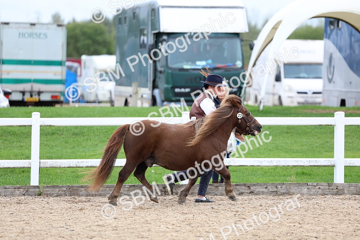 SBM_05871 - Class 29 - IH Veteran Pony