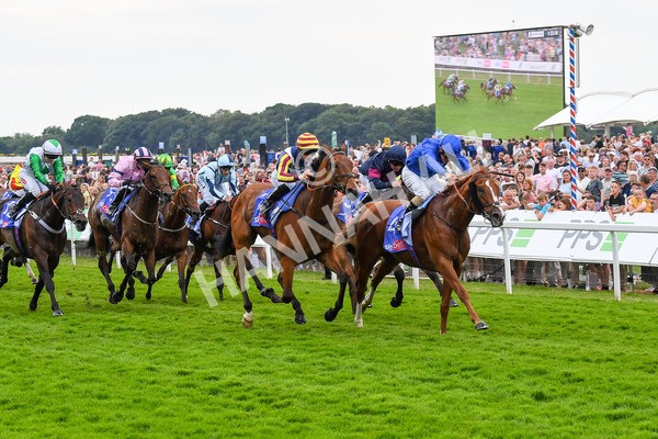 170623-Race 2-Wild Lion-0358 - Race 2 2.35pm Sky Bet Handicap