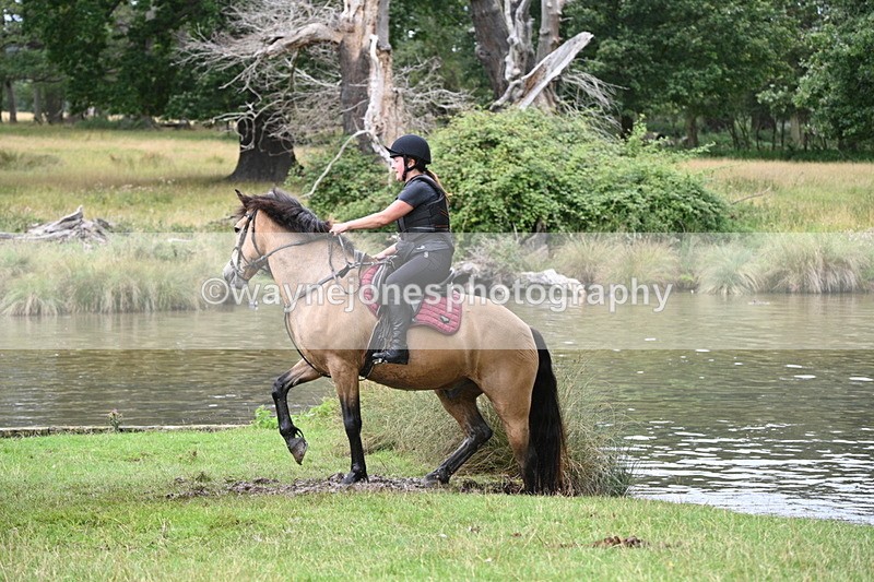 WJ7_2325 - Time at Water 11:14 to 11:36