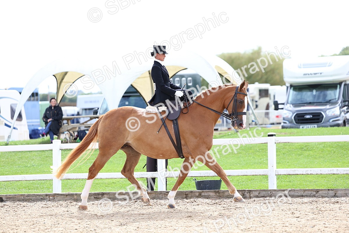 SBM_03300 - Class 23 - SSA Classical (any age)