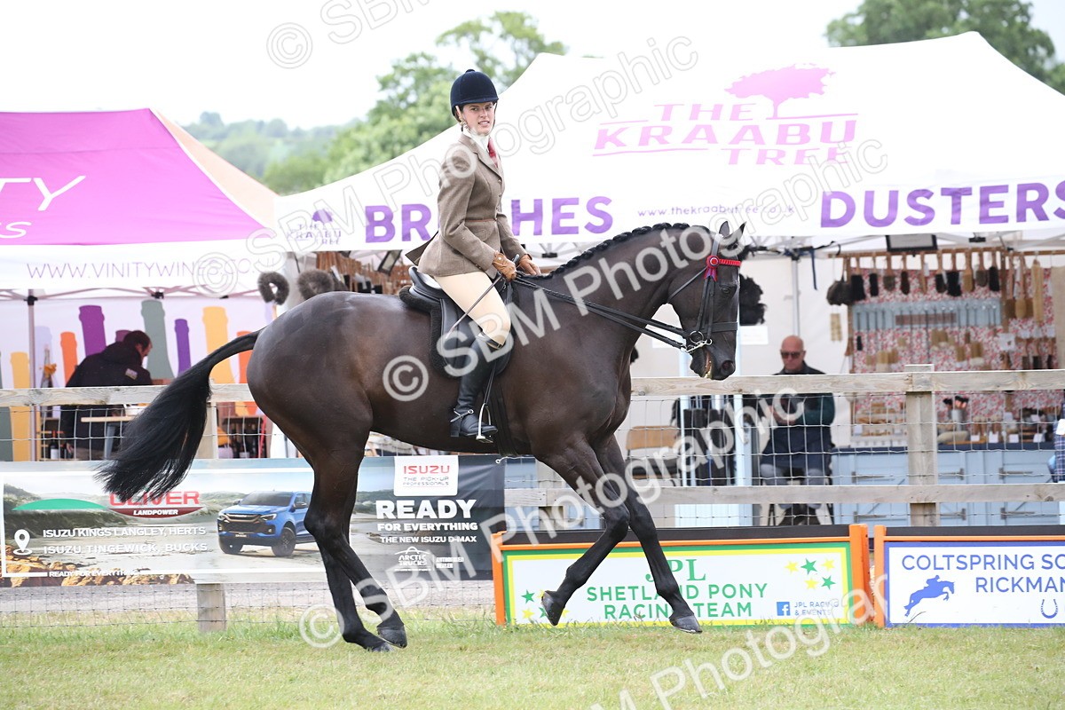 SBM_11432 - Class 94 - LIHS BSHA Racehorse to Showhorse
