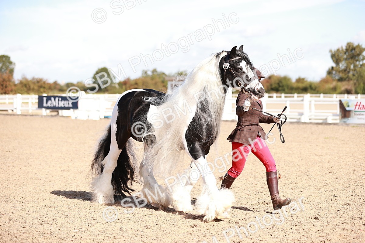 SBM_12602 - Class 404 - IH Traditional - Native Cob