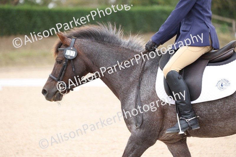 20250819-0886 - Class 2 - Prelim 1