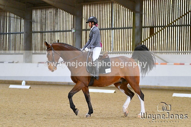 WJ5_6760 - Edited examples