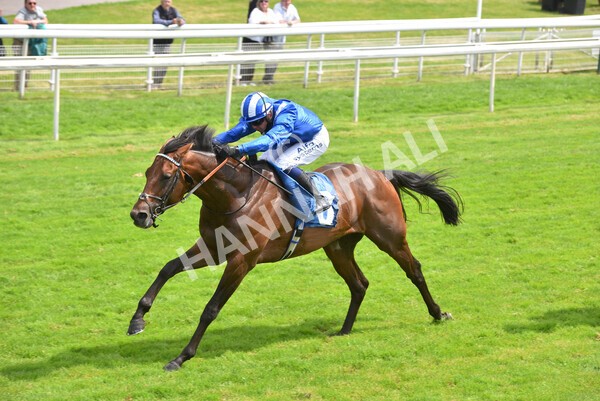 yr10072021r2-18 - Race 2: 2.20pm John Smith's Silver Cup Stakes