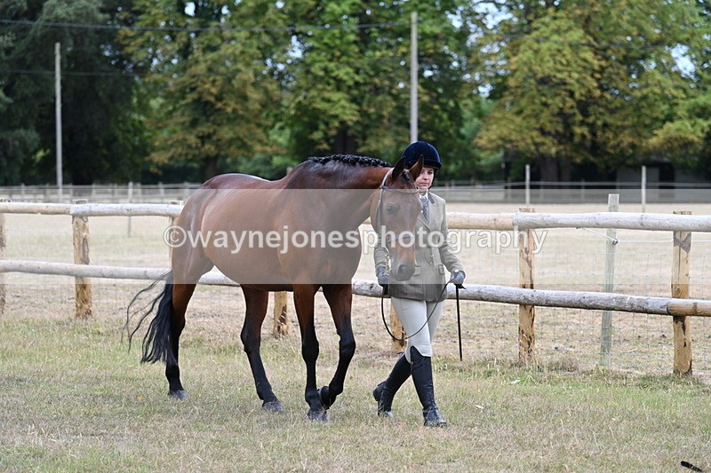 WJ7_8958 - Class 4a Prettiest Mare 14.2hh and over