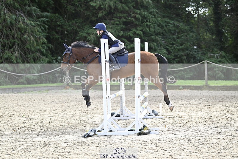 251005A-121218-03648 - Cls 08 Mini 70-75cm