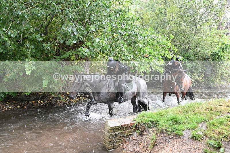 WJ7_8373 - Group 1