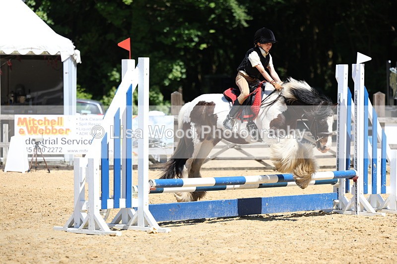 3E7A2578 - Class 4/5: 60cm Open Teams and Individuals